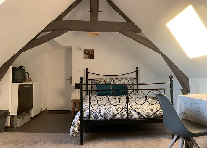 Aparthotel Chaleureuse Avec Acces Independant Et Sanitaires Independants La Menitré